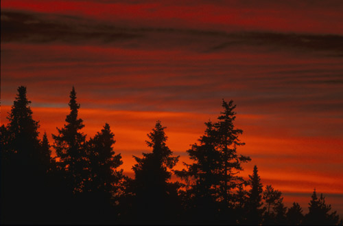 Finnish-sunset.